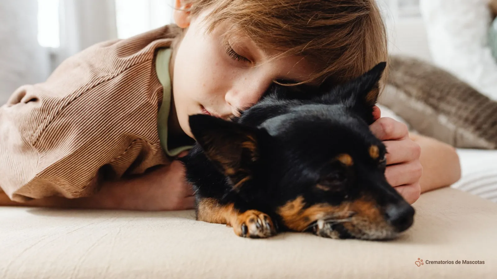 Niño o niña de cabello castaño claro acunando a un perro pequeño negro y tostado con los ojos cerrados
