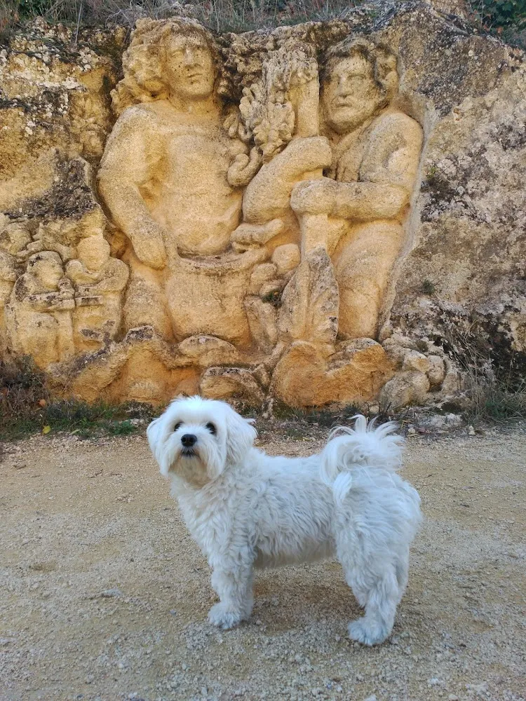 CREMASUR SEVILLA Tanatorio Crematorio de Mascotas 24 HORAS