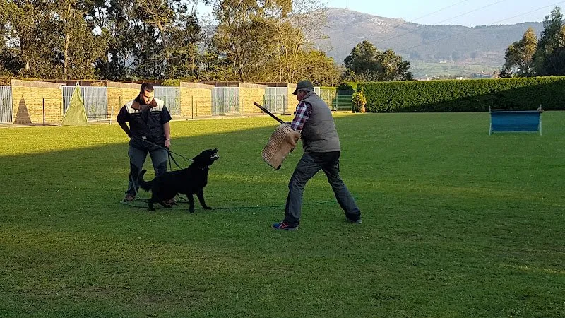 Adiestramiento de perro negro en Cecapa, centro canino en Maliaño, Cantabria