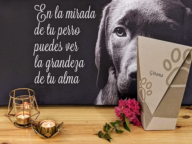 Urna conmemorativa para mascotas con nombre Gitana, velas y flores en INFINITO Crematorio Sevilla