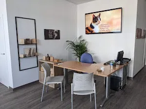 Recepción y zona de atención al público de INFINITO Tanatorio y Crematorio de Mascotas en Camas, Sevilla