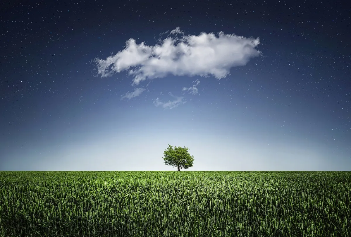 Árbol solitario en campo verde bajo cielo estrellado con nube blanca, imagen evocadora de paz y naturaleza