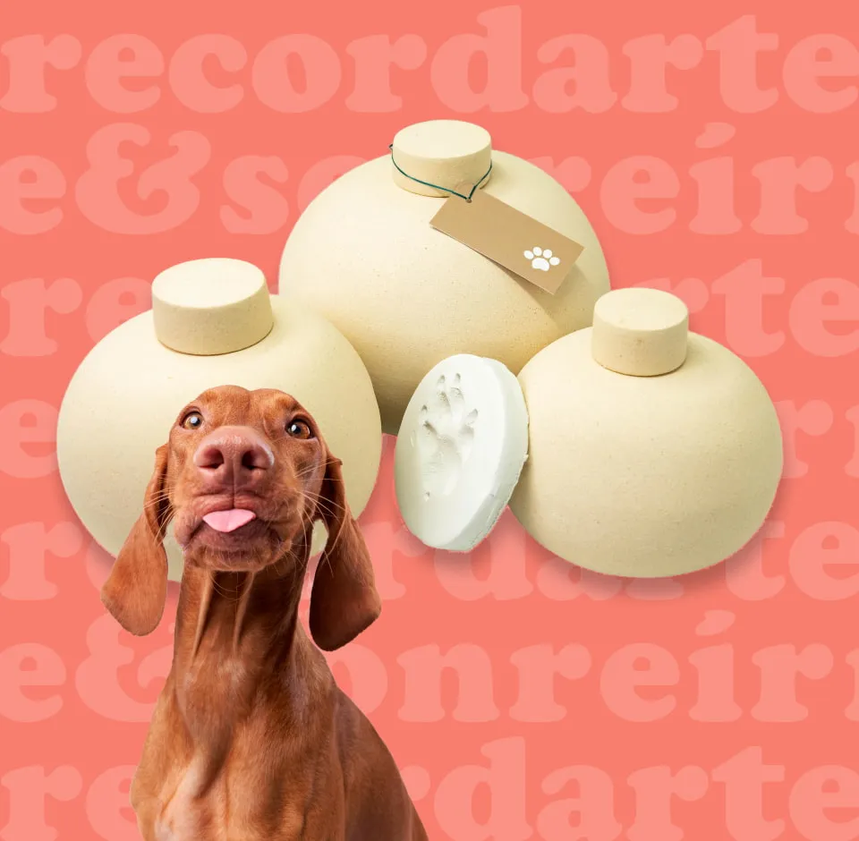 Urnas funerarias para mascotas con huella dactilar en Recordarte y Sonreír, Getafe Madrid