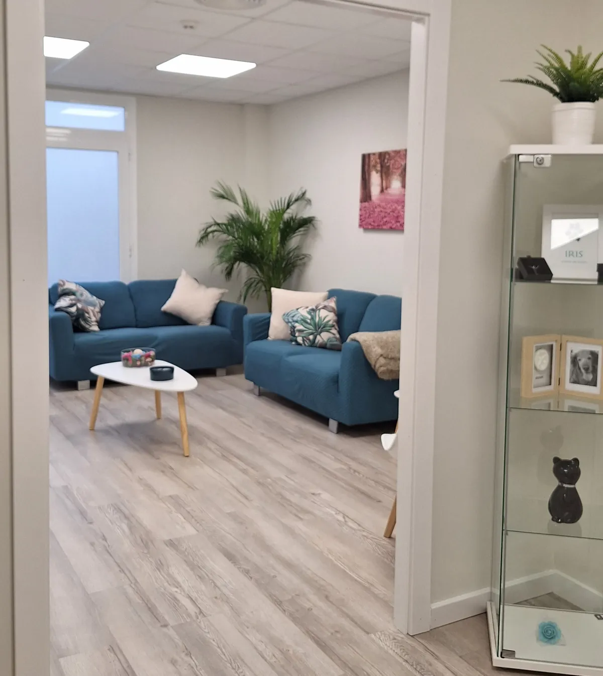 Sala de espera con sofás azules y vitrina de urnas en Incivet Tanatorio Crematorio de Mascotas, Chapinería Madrid
