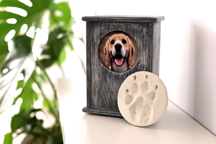 Caja urna de madera con fotografía de golden retriever y molde de huella en Cremaguada Guadalajara