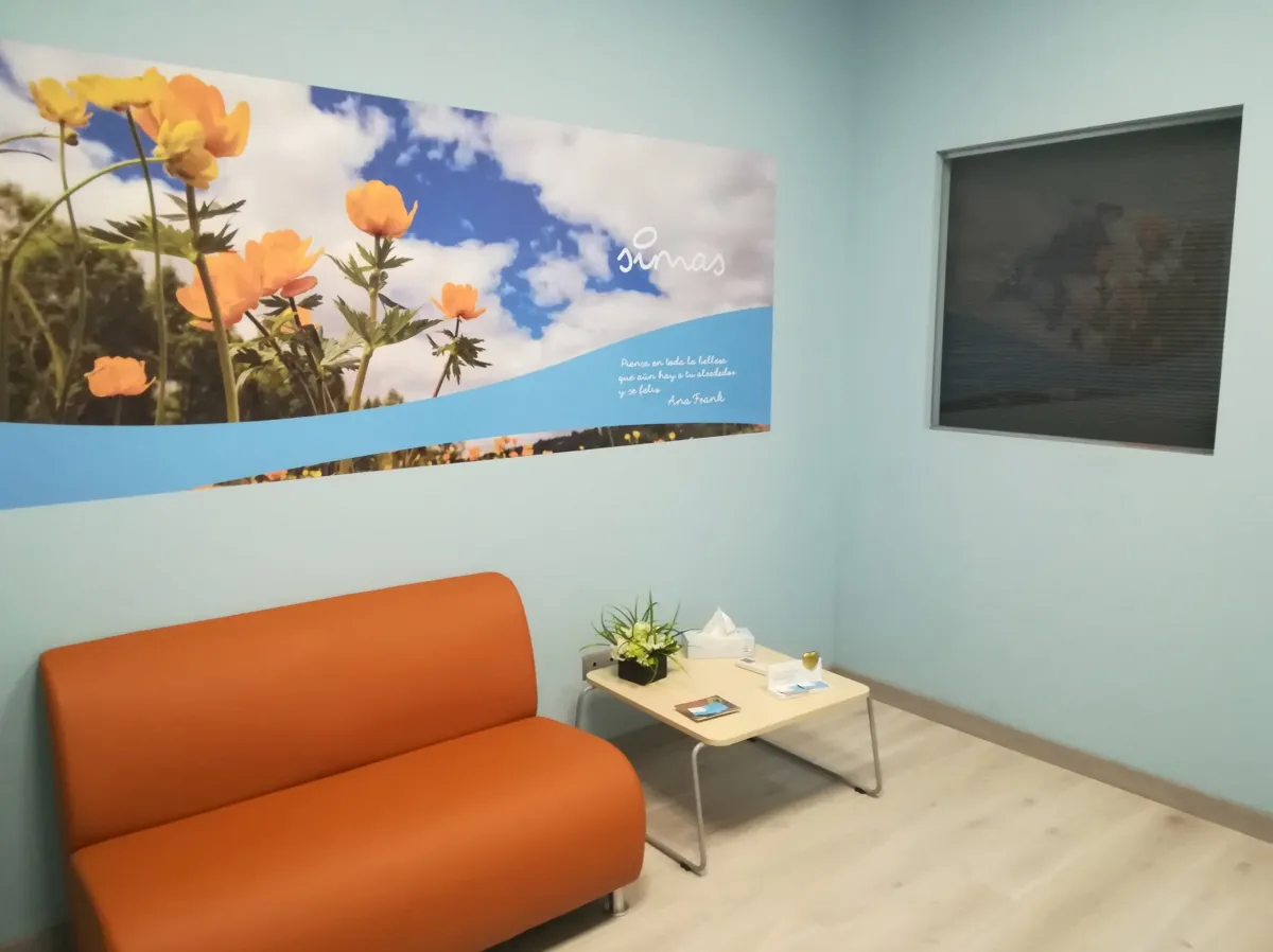 Sala de espera con sofá naranja y mural floral en SIMAS crematorio de mascotas, Cabañas Raras León