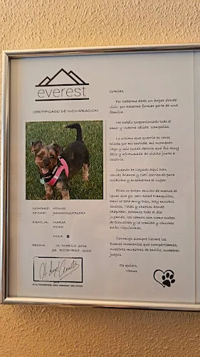 Certificado de incineración enmarcado con foto de mascota del Crematorio Everest en Antas, Almería