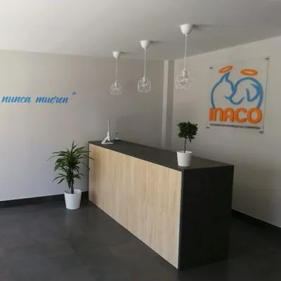 Recepción moderna de INACO Incineración Animales de Compañía en Lorquí, Murcia, con mostrador y logo