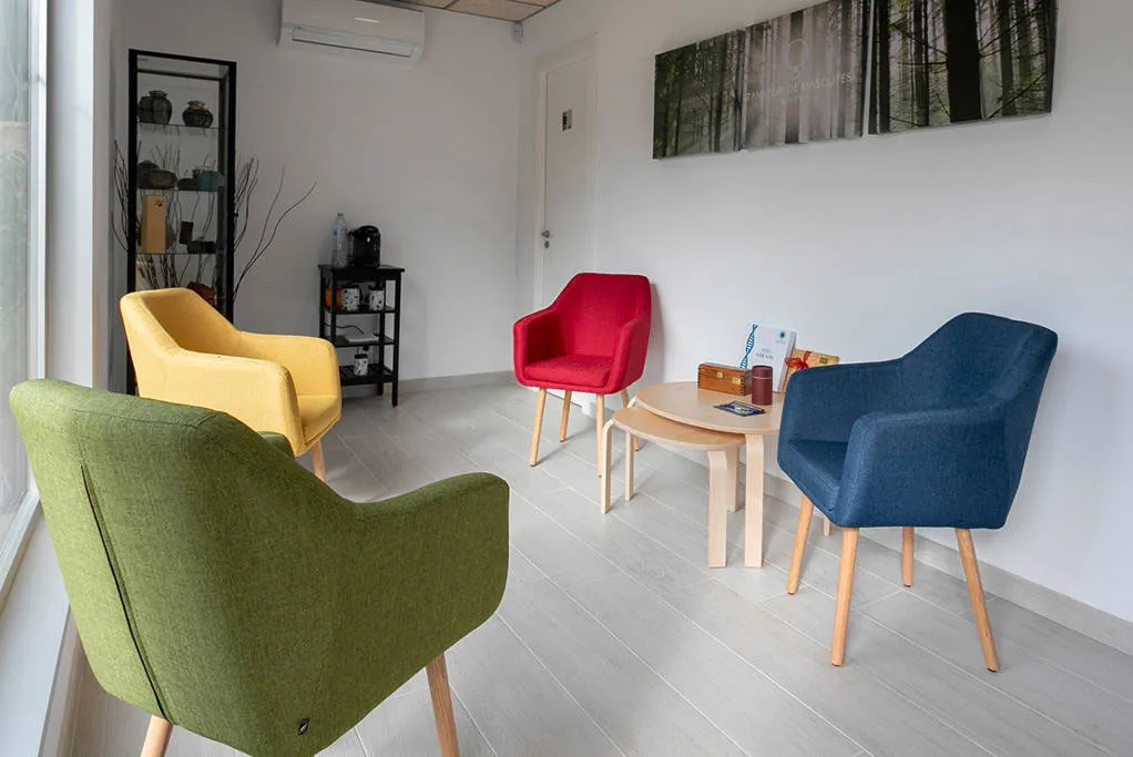 Sala de espera con sillones de colores en Tanatorio de Mascotas Ineco, Riudarenes Girona