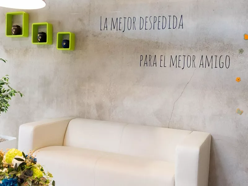 Sala de espera con sofá blanco y urnas en Paseo a las Nubes Crematorio de Mascotas, Burgos