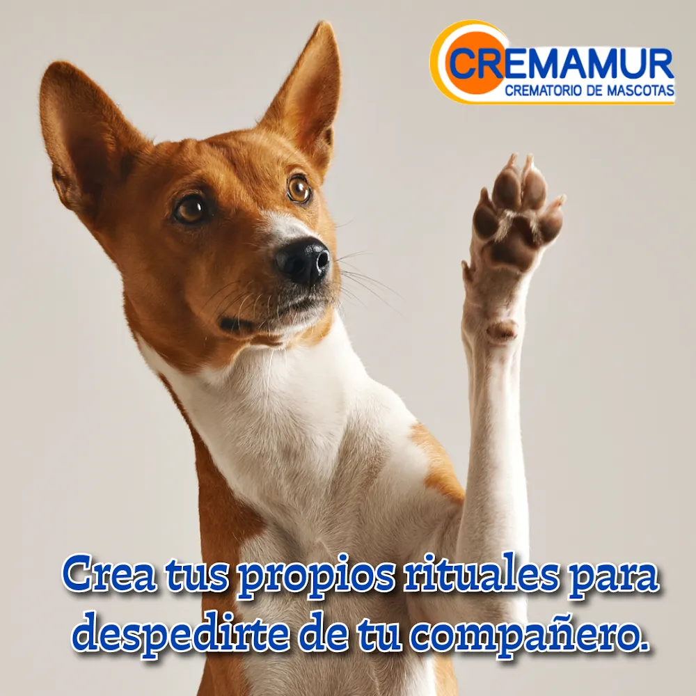 Logo de Cremamur