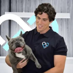 Profesional de Caelum Pets en Madrid sosteniendo un bulldog francés gris en instalaciones modernas