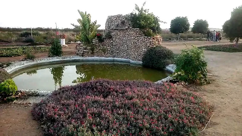 Jardín con estanque y rocalla de piedra en Mi Fiel Amigo, crematorio de mascotas en Elx, Alicante