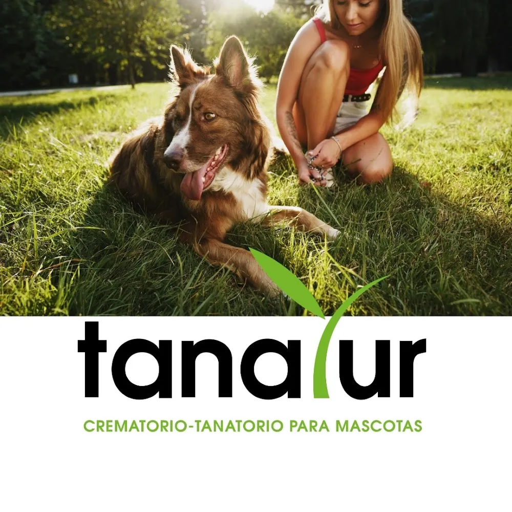Crematorio Tanatur | Crematorio de mascotas Pamplona