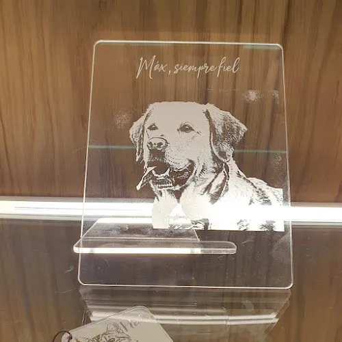 Placa conmemorativa de cristal grabada con retrato de perro en Tanatomascota Valladolid