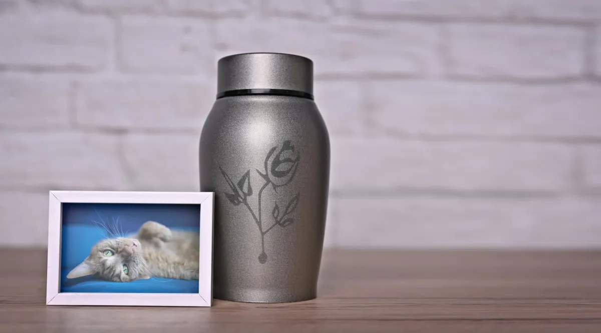 Urna conmemorativa plateada con grabado floral junto a foto de gato en PIP Galicia, O Porriño