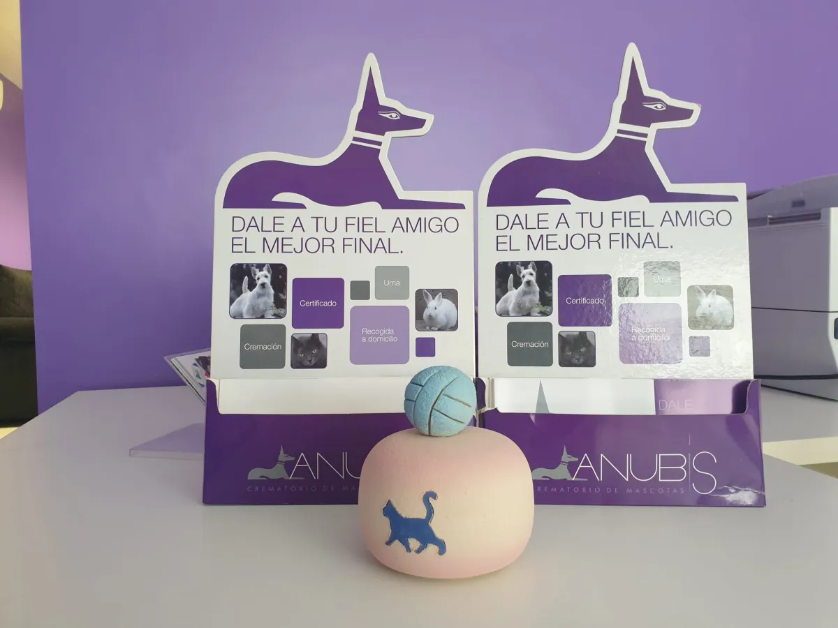 Urna cineraria para gatos con bola de juguete y folletos informativos de Anubis Crematorio de Mascotas, Torralba de Calatrava