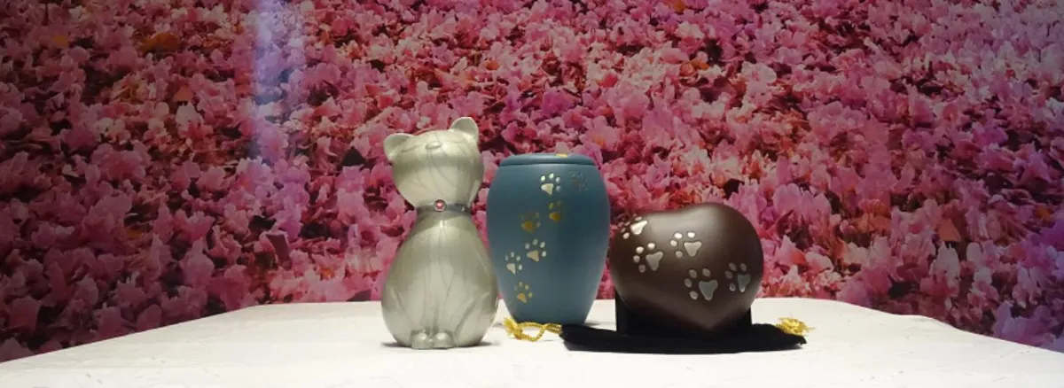 Urnas funerarias para mascotas con diseño de huellas y figura de gato en IPA Dolores Alicante