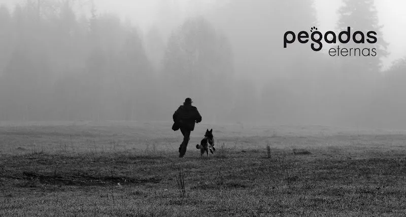 Persona paseando con su perro en campo abierto con niebla, imagen corporativa Pegadas Eternas Cambados