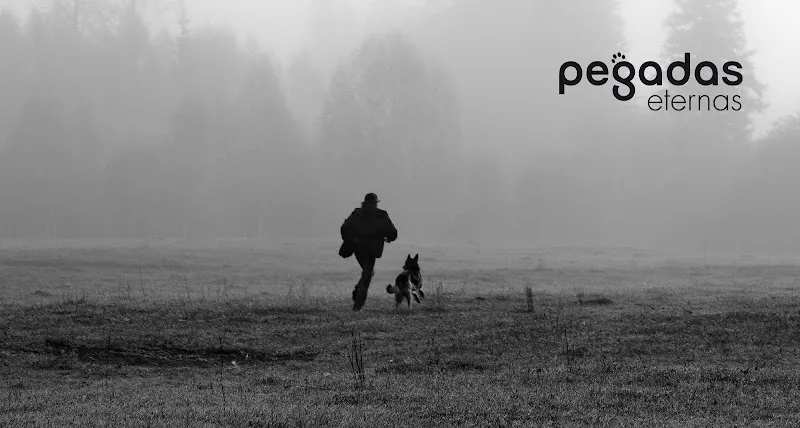 Persona corriendo con su perro en campo neblinoso, imagen de marca Pegadas Eternas Cambados