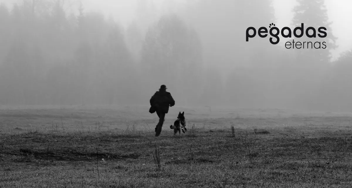 Persona corriendo con su perro en campo neblinoso, imagen emotiva de Pegadas Eternas Cambados