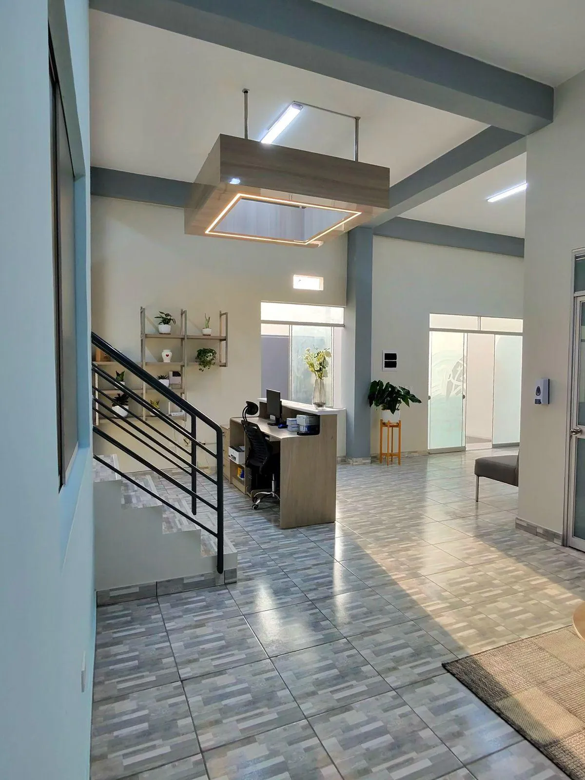 Recepción moderna de Fune Mascotas Torre Pacheco con mostrador, escaleras y plantas decorativas